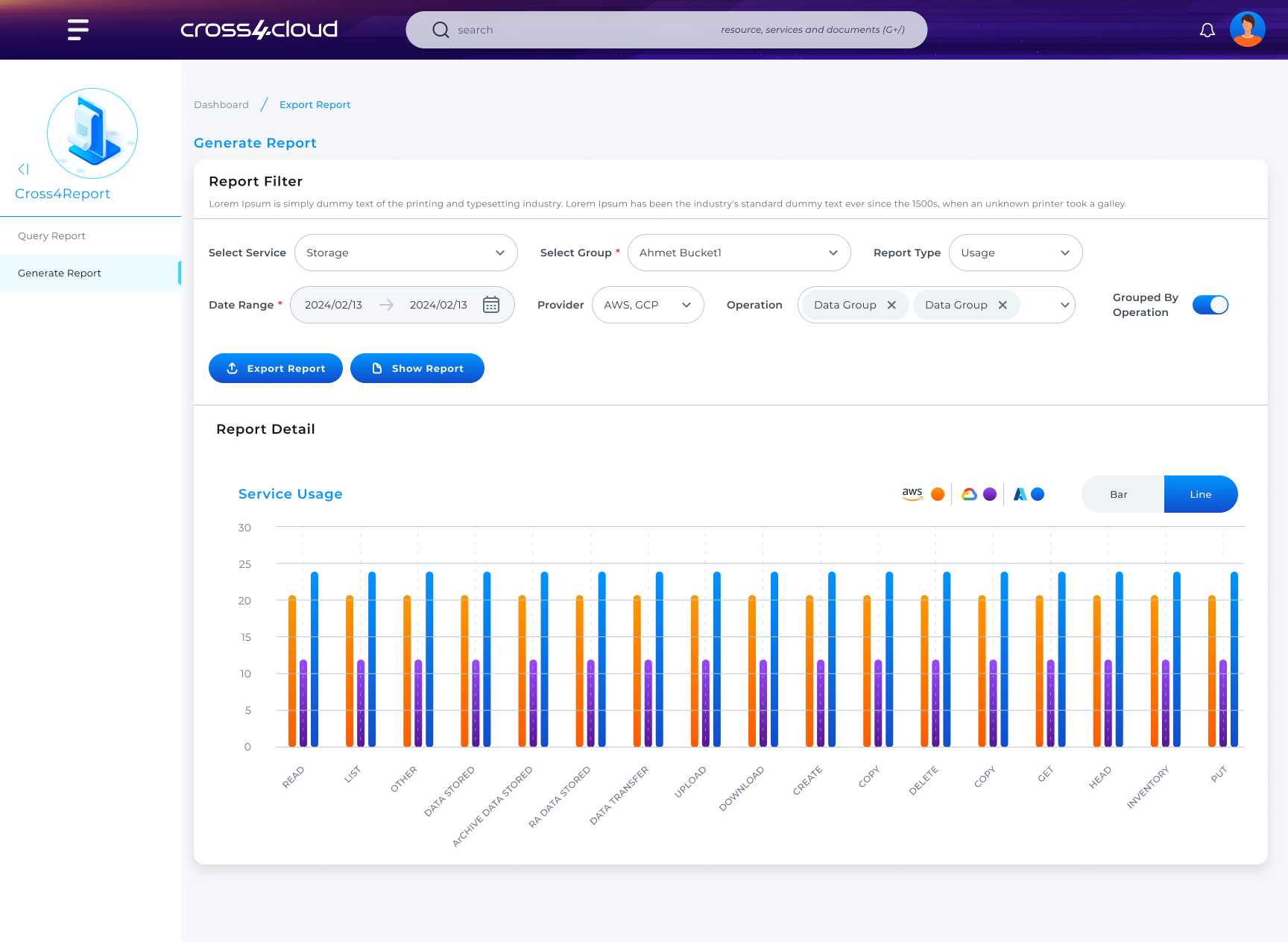 Cross4Report Interface